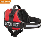 All-In-One No Pull Dog Harness