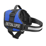 All-In-One No Pull Dog Harness