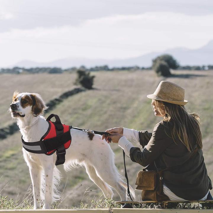 All-In-One No Pull Dog Harness