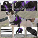 All-In-One No Pull Dog Harness