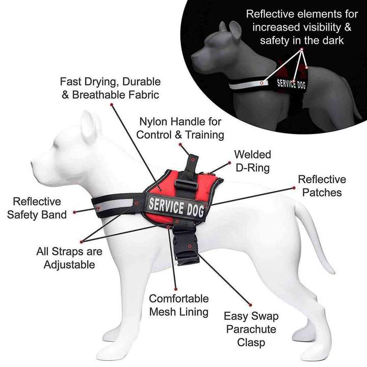 All-In-One No Pull Dog Harness