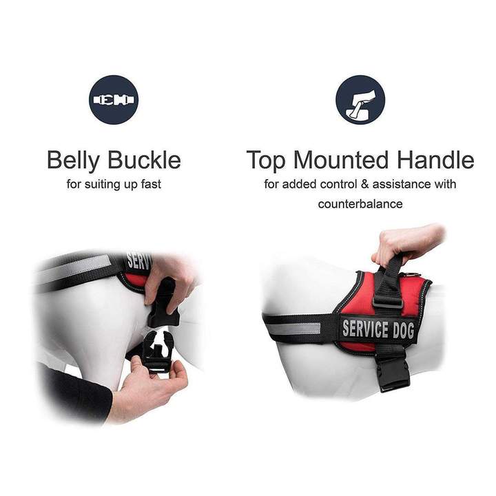 All-In-One No Pull Dog Harness