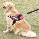 All-In-One No Pull Dog Harness