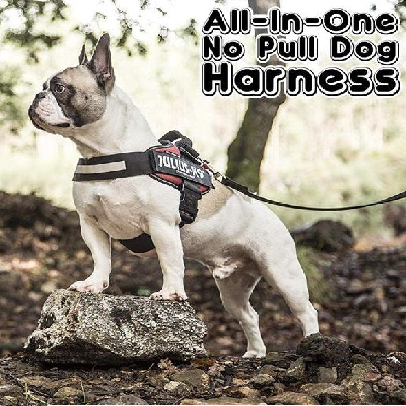 All-In-One No Pull Dog Harness