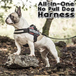 All-In-One No Pull Dog Harness